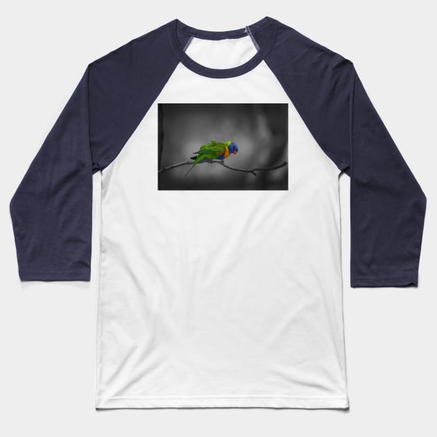 Rainbow Lorikeet_5159A Baseball T-Shirt by seadogprints